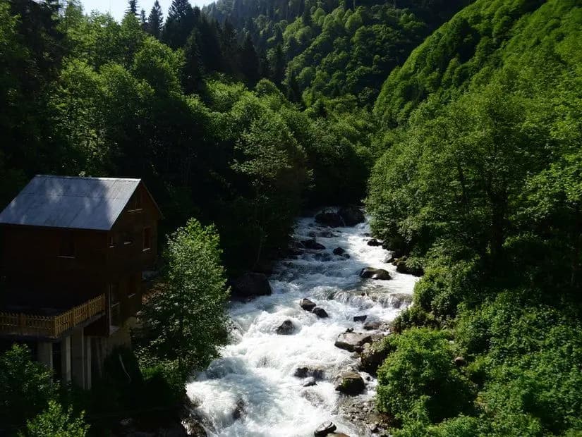 Fırtına Deresi