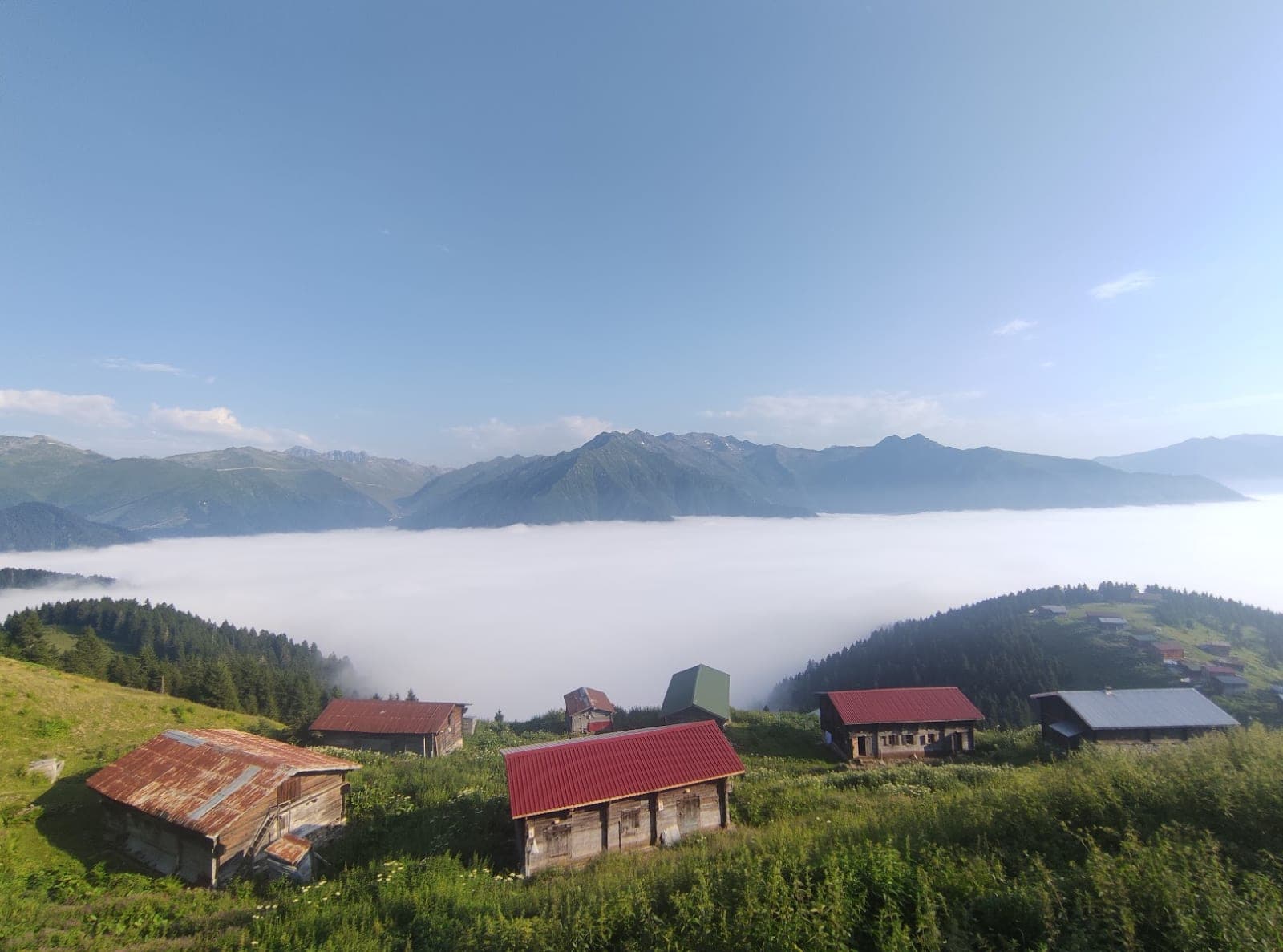 Pokut Yaylası