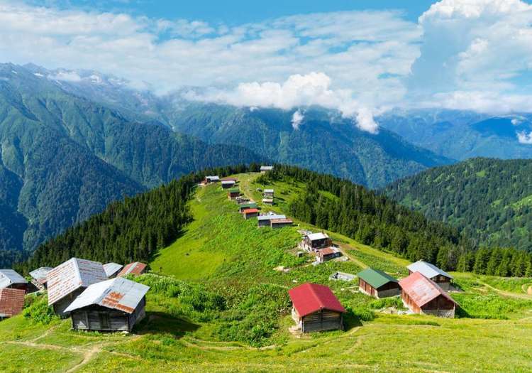 Pokut Yaylası