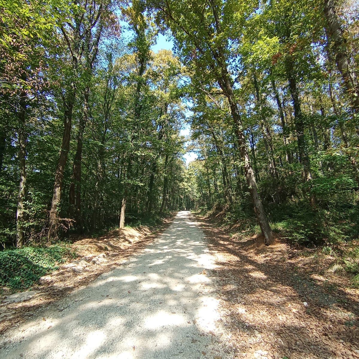 Sakarya İl Ormanı Tabiat Parkı