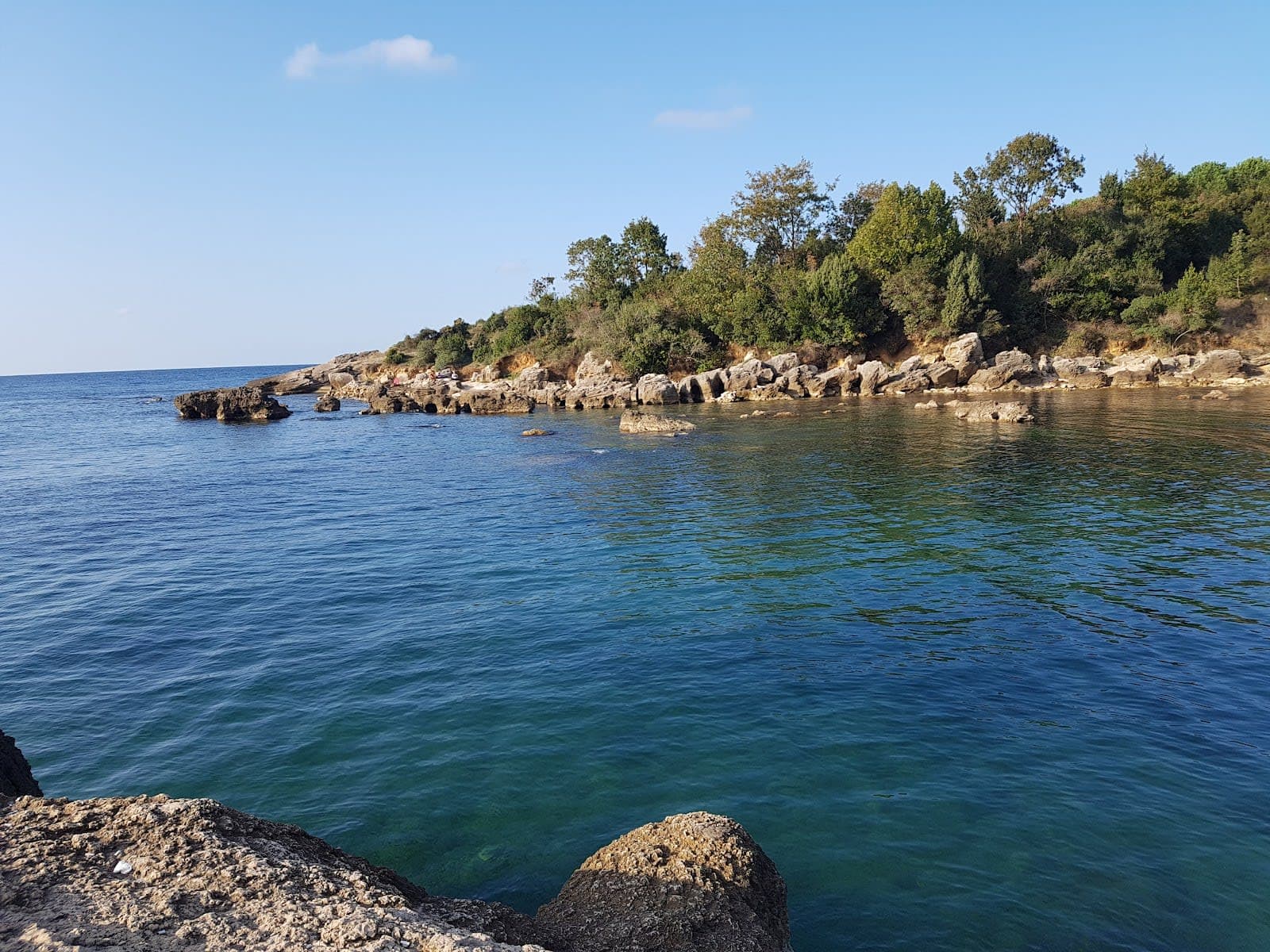Kapri Koyu Bahçesi