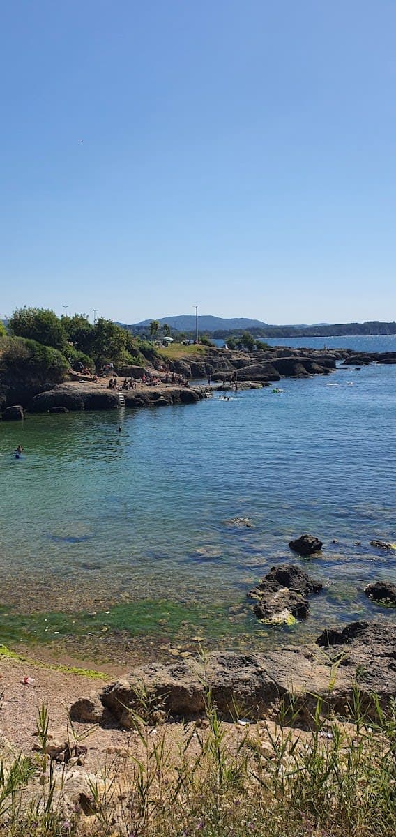 Kapri Koyu Bahçesi — Kocaeli plajlar