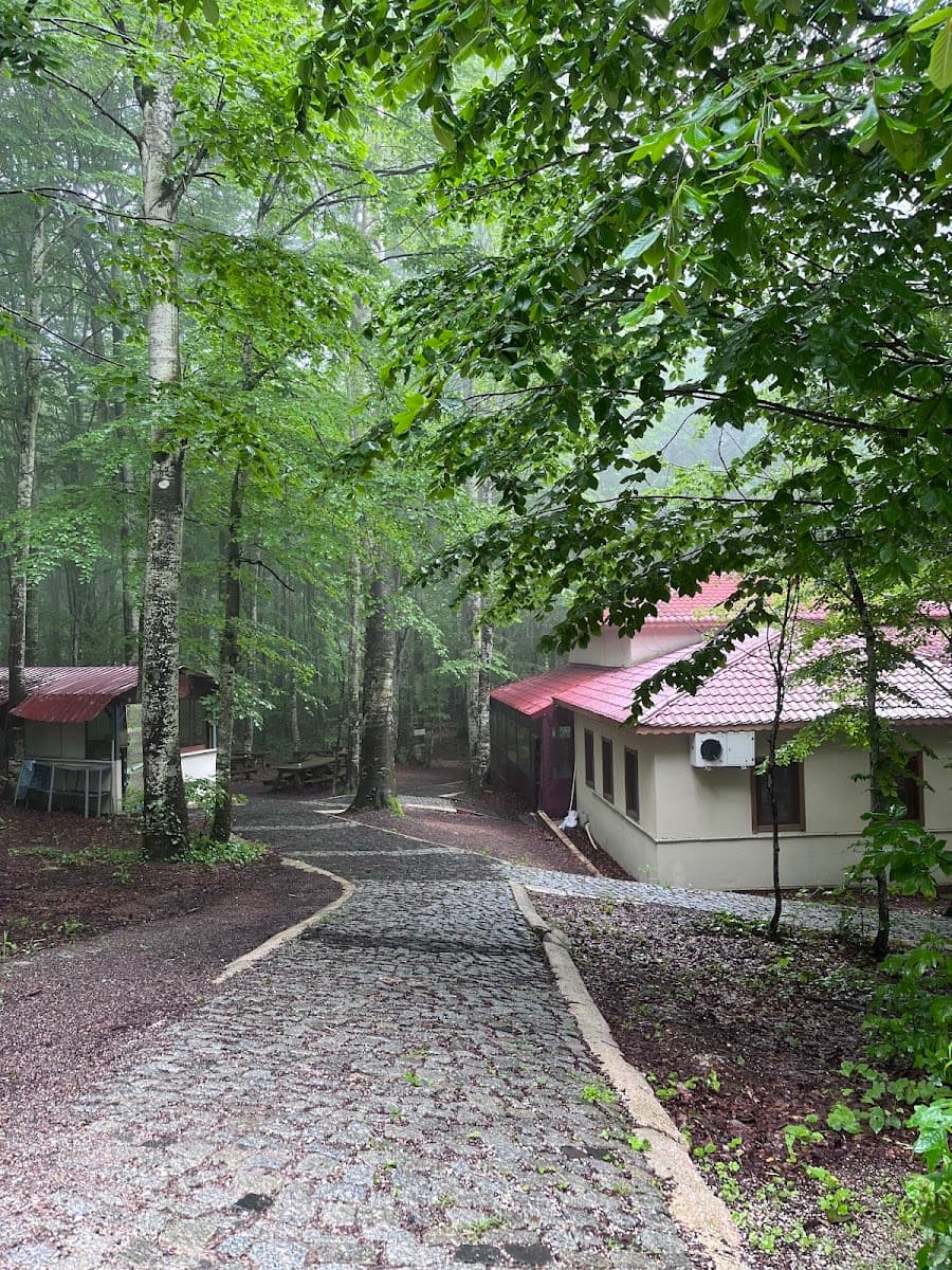 Eriklitepe Tabiat Parkı