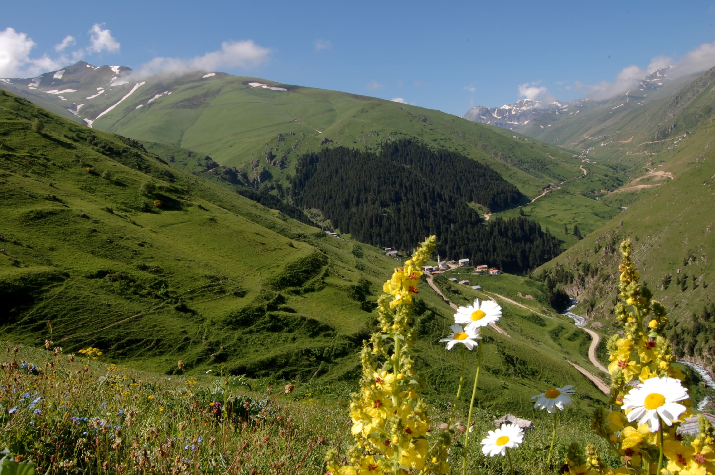 Anzer Yaylası — Rize gezilecek yerler