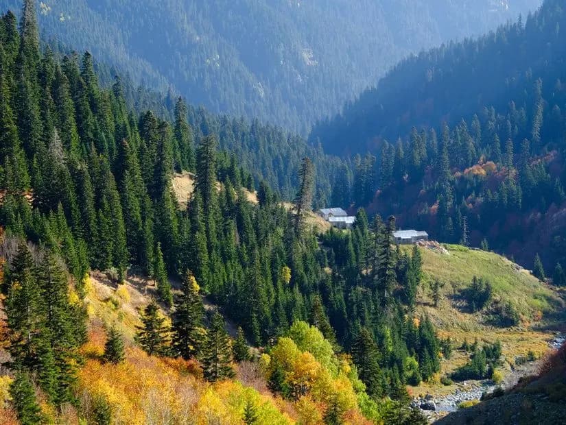 Papart Düzü (Papart Yaylası) — Artvin gezilecek yerler