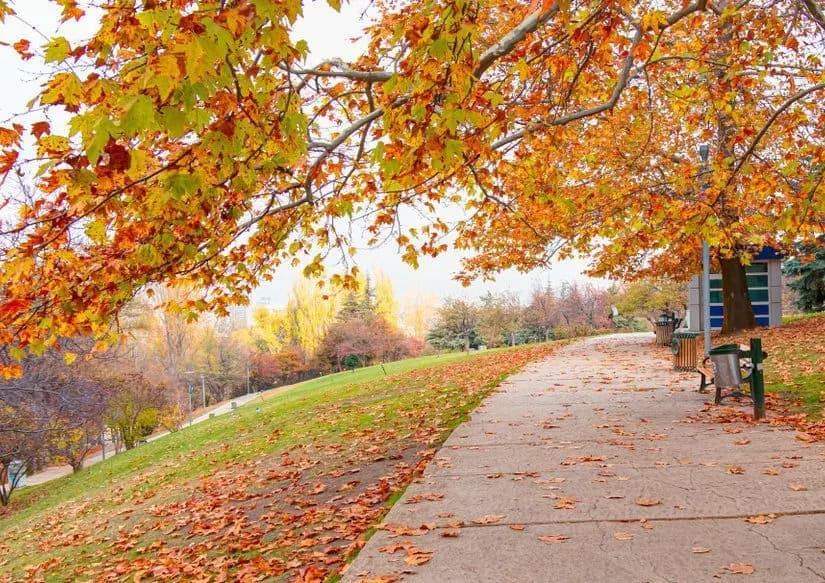 Seğmenler Parkı — Ankara gezilecek yerler