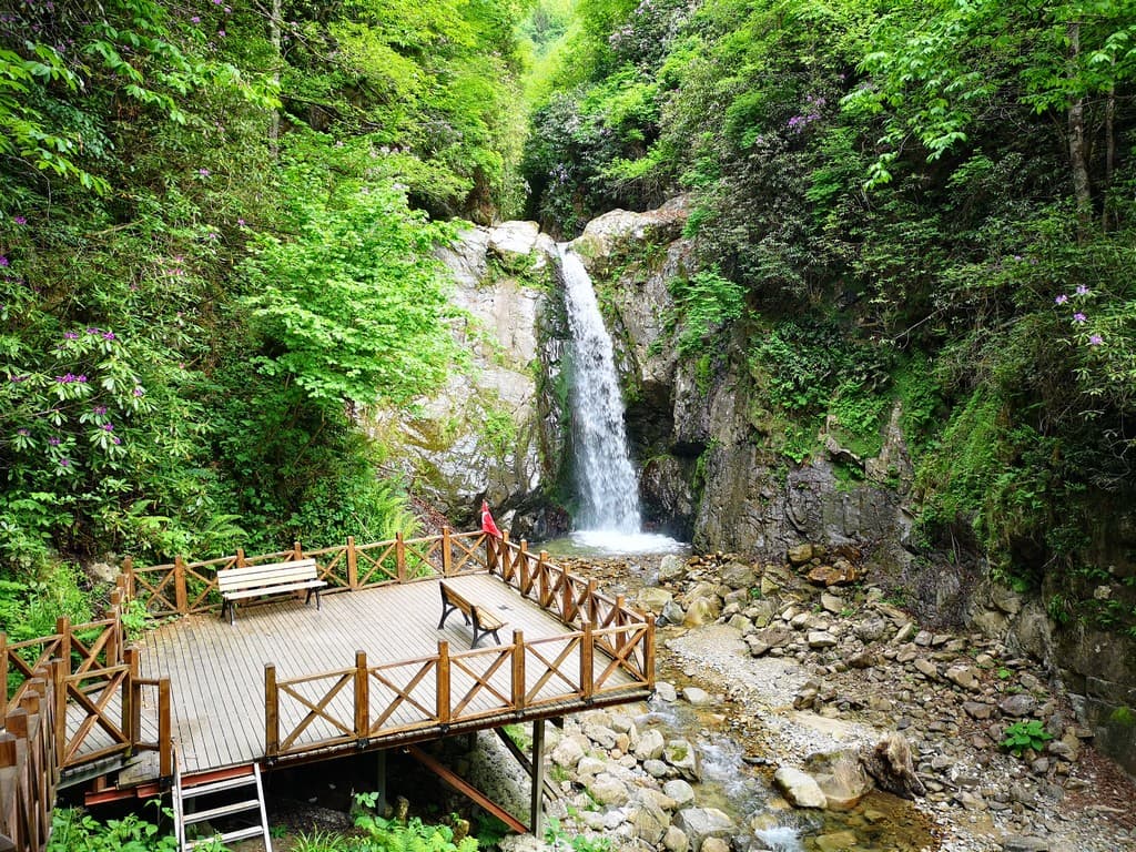 Akyamaç Şelalesi Tabiat Parkı — Rize gezilecek yerler