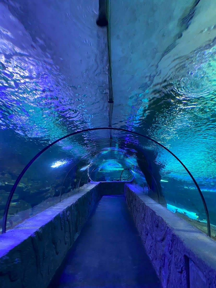 Aqua Vega Akvaryum — Ankara gezilecek yerler