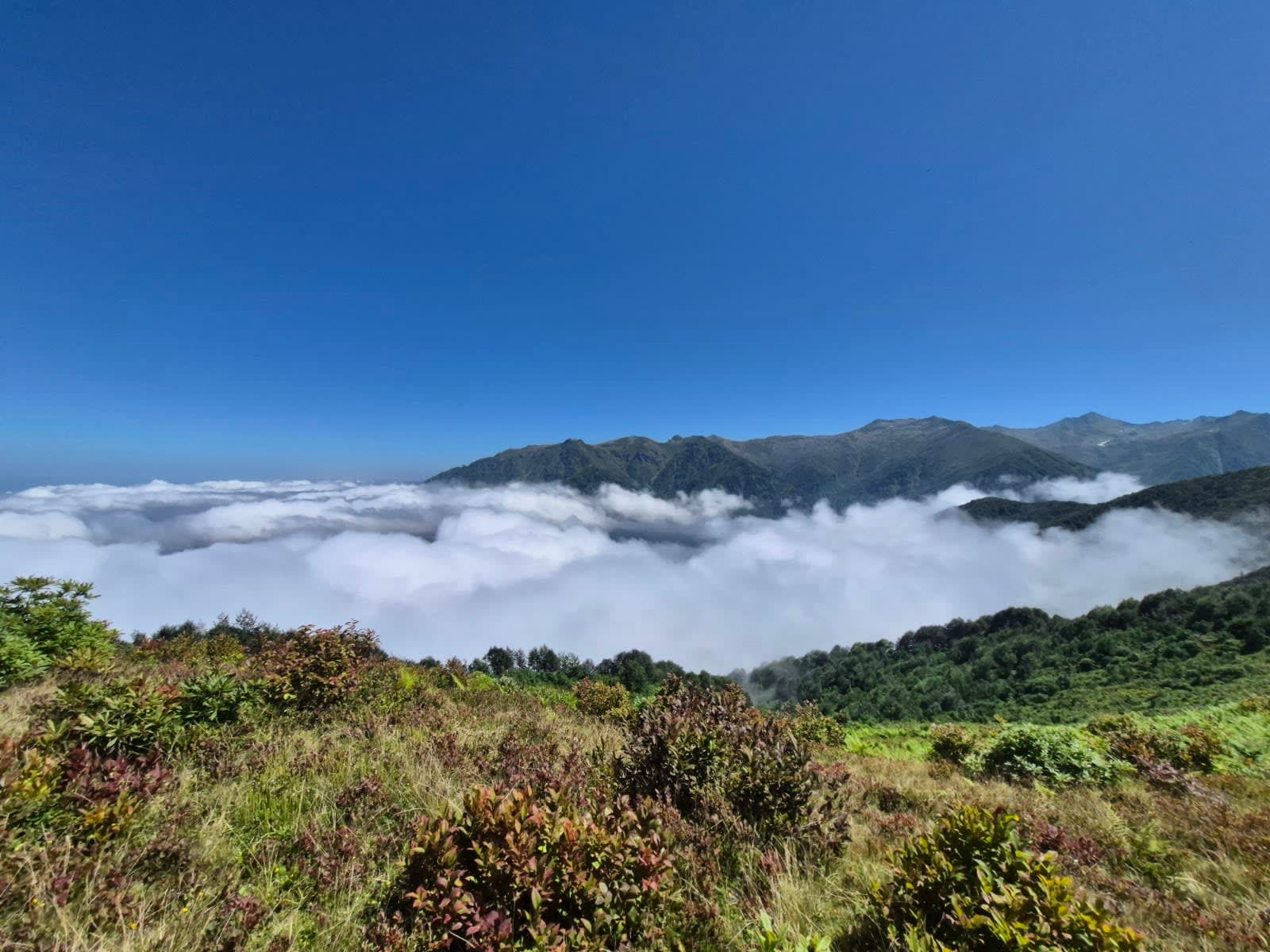Siprona Yaylası — Rize gezilecek yerler