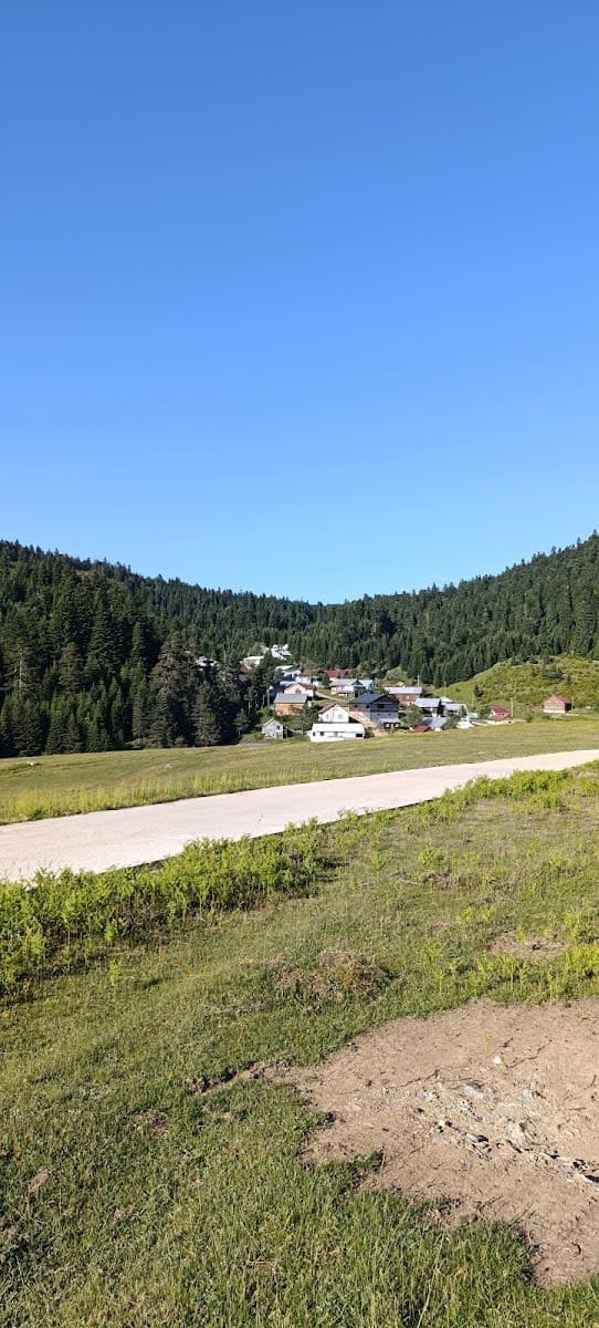 Çiğdem Yaylası — Sakarya gezilecek yerler