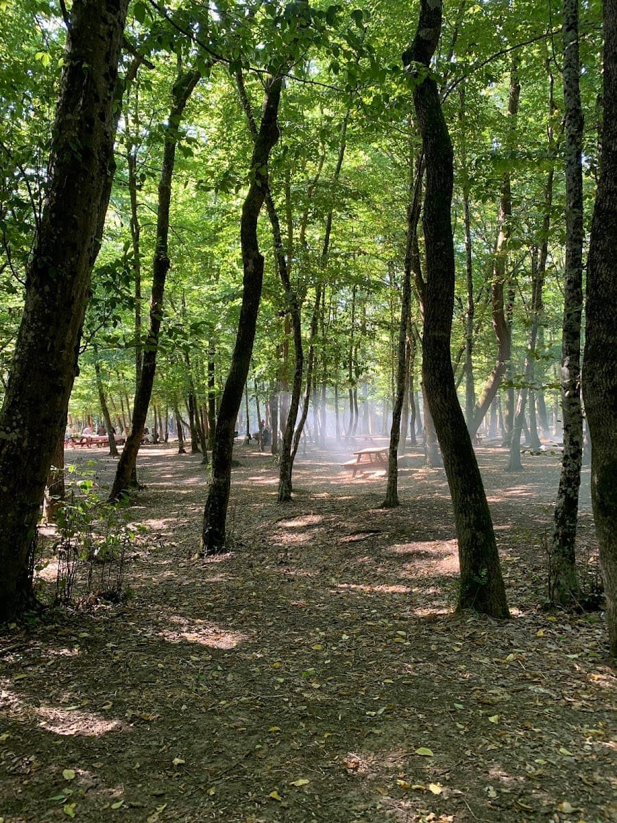 Falih Rıfkı Atay Tabiat Parkı — İstanbul doğa ve parklar