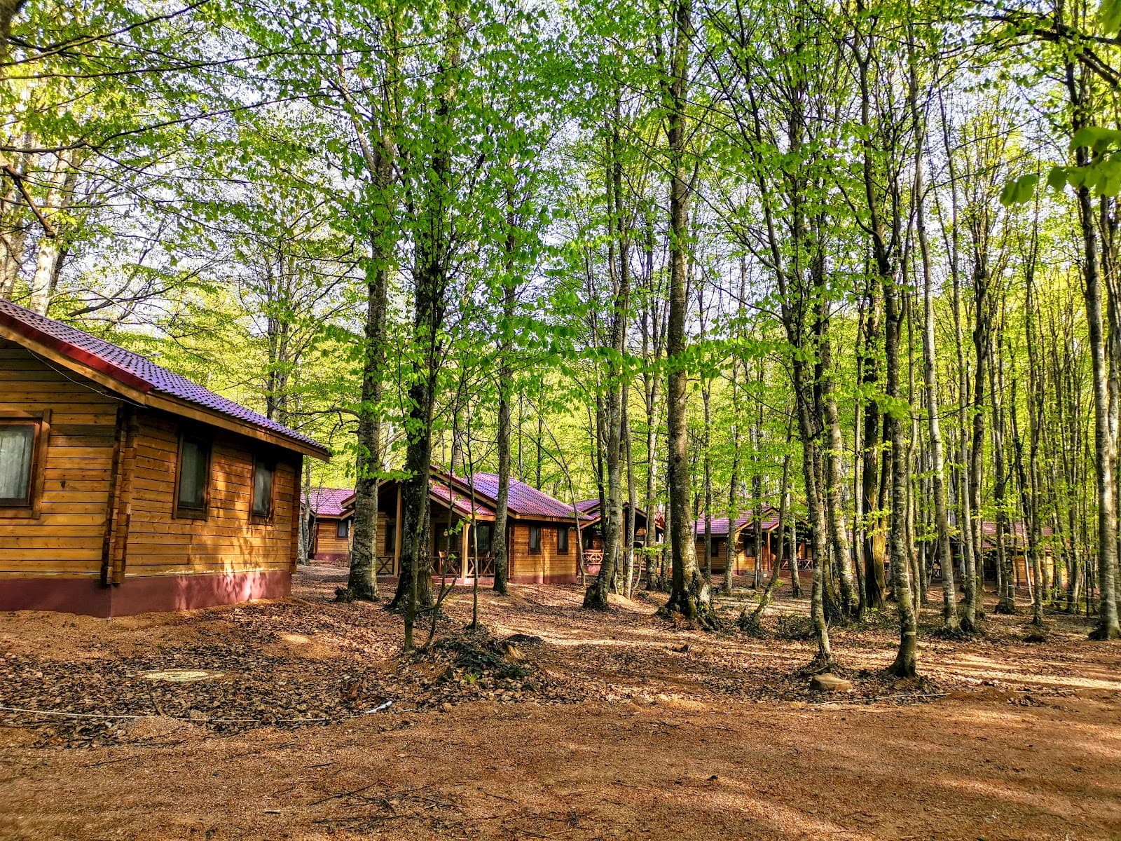 Eriklitepe Tabiat Parkı — Kocaeli gezilecek yerler