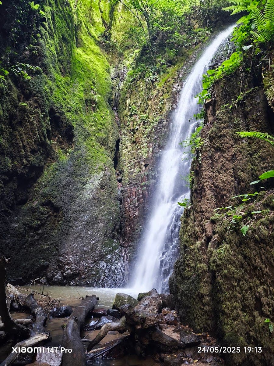 Nüzhetiye Şelalesi Trekking Parkuru — Kocaeli gezilecek yerler
