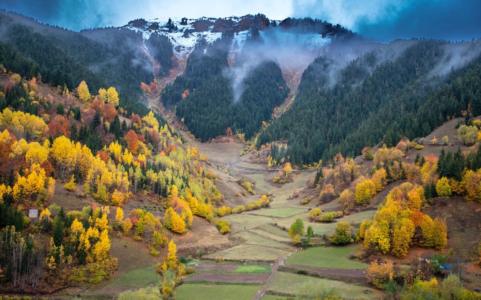 Tepebaşı Yaylası (Sakoriya) Yaylası — Artvin gezilecek yerler