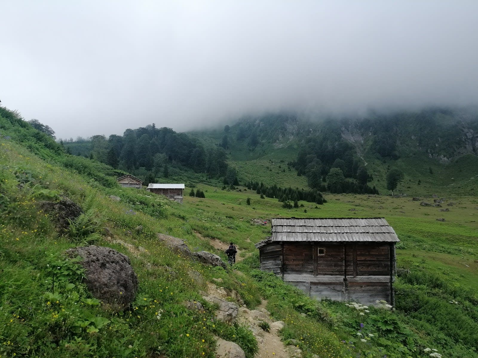 Görgit Yaylası — Artvin gezilecek yerler
