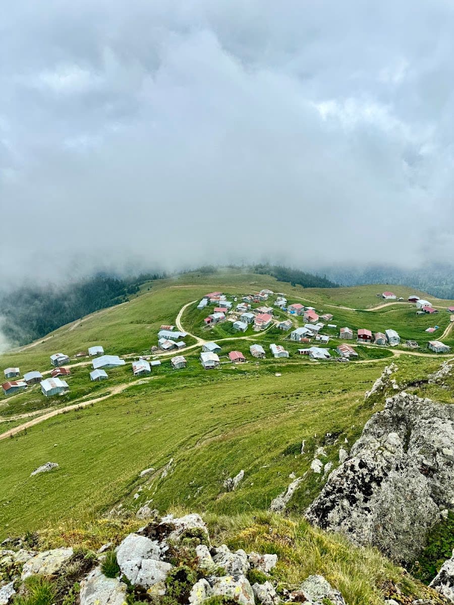 Erenler (İrsa) Yaylası — Artvin gezilecek yerler