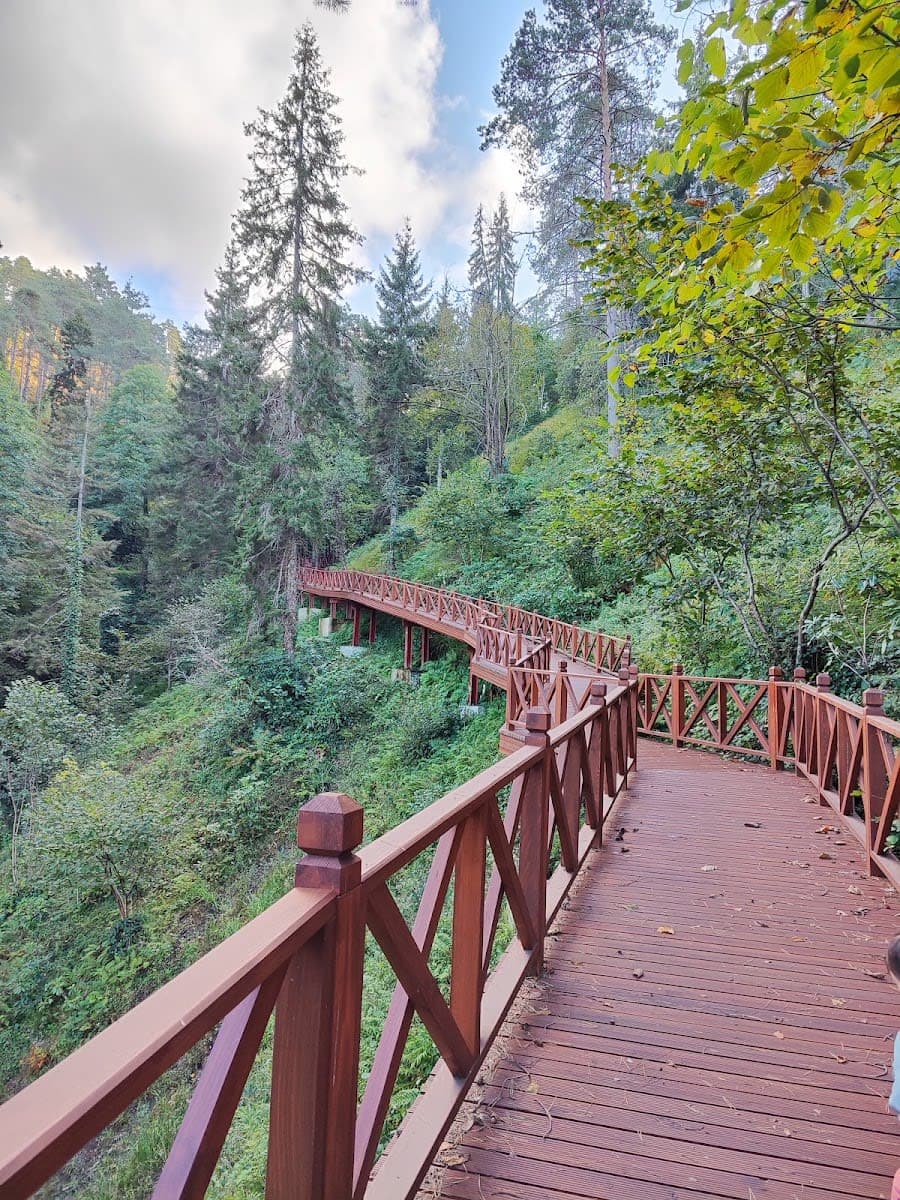Sürmene Çamburnu Tabiat Parkı — Trabzon doğa ve parklar