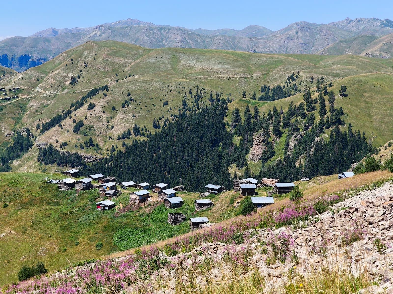 Çağlıpınar Yaylası — Artvin gezilecek yerler