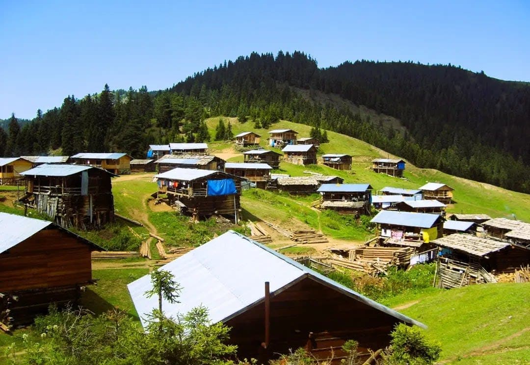 Akdamla yayla — Artvin gezilecek yerler
