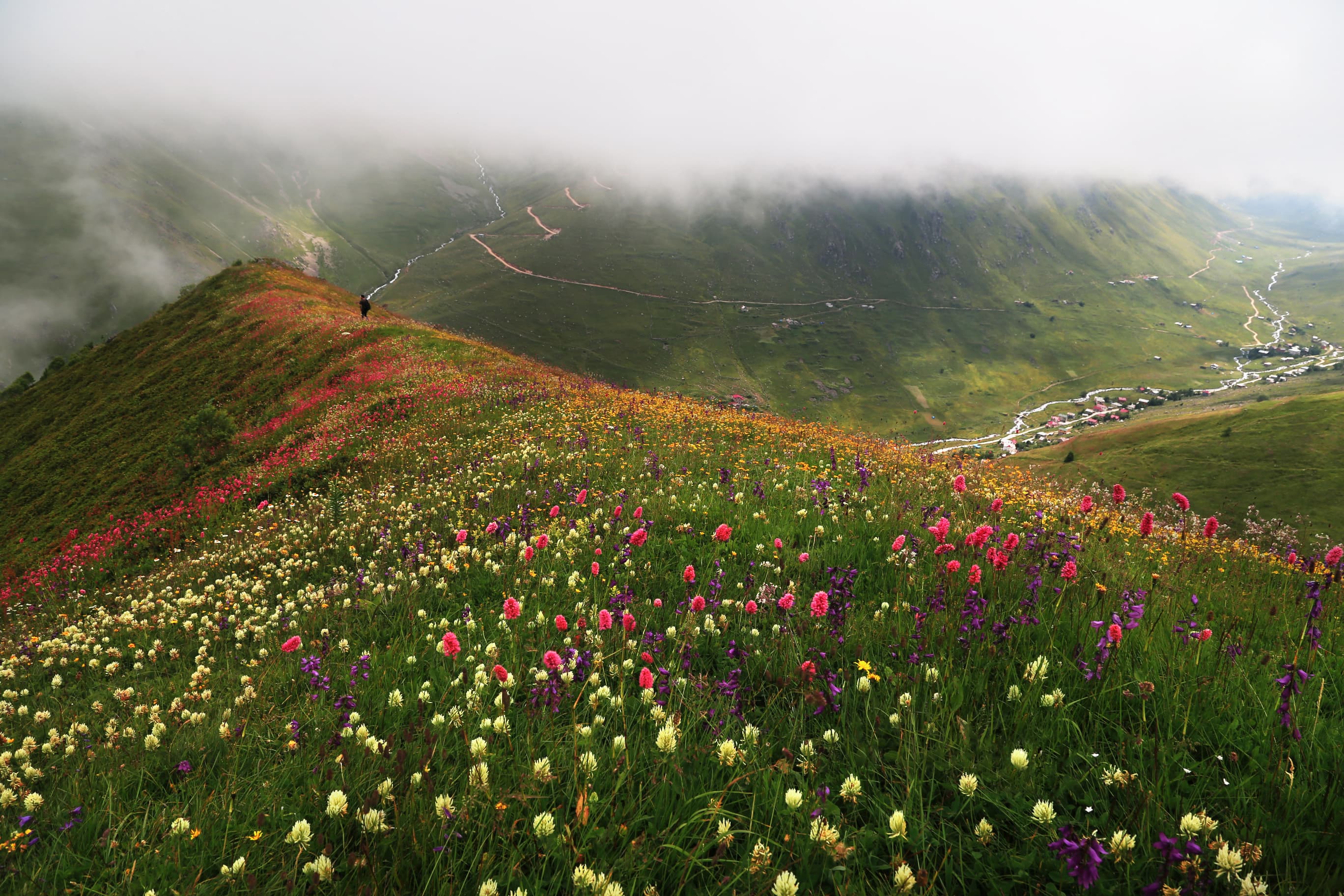 Çiçekli Yaylası — Rize gezilecek yerler