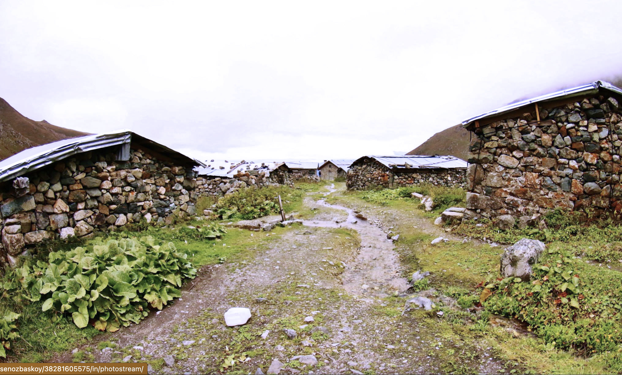 Ambarlı Yaylası — Rize gezilecek yerler