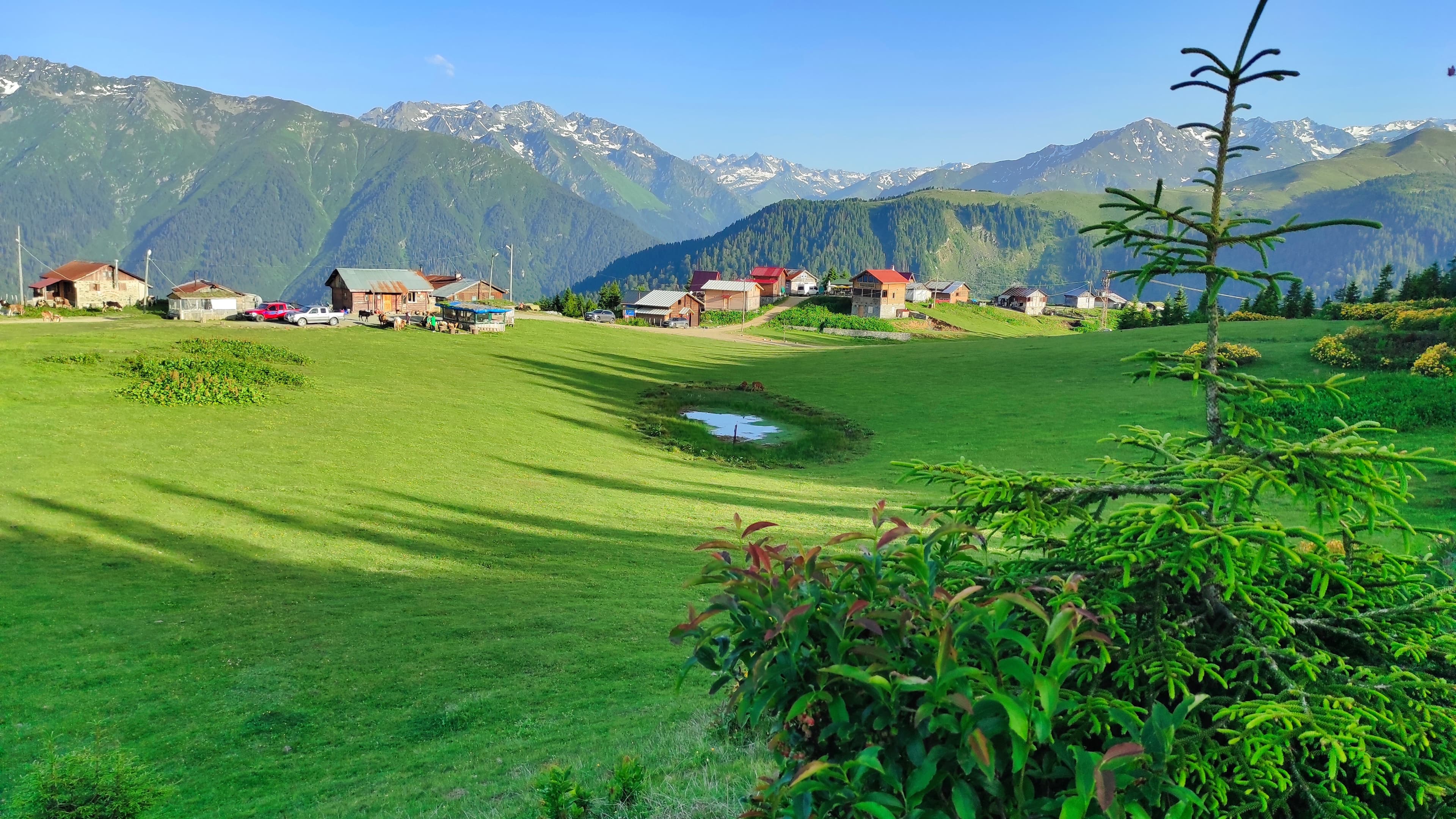 Badara Yaylası — Rize gezilecek yerler