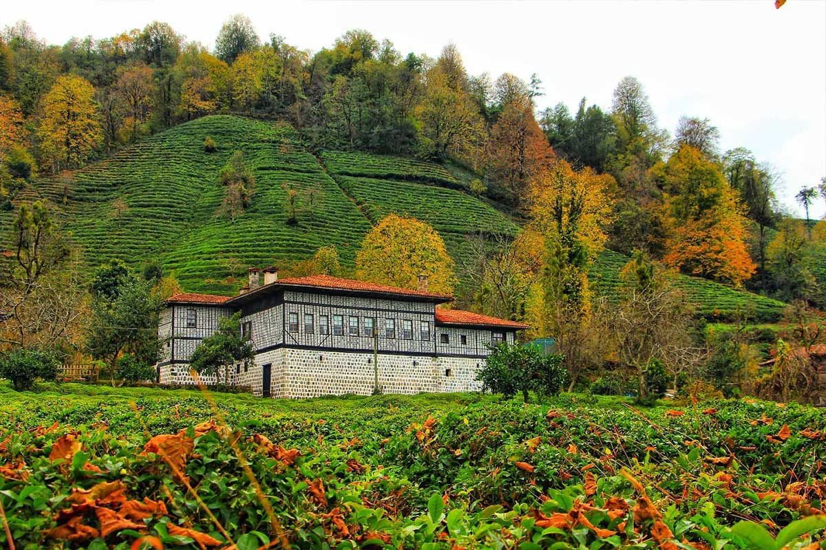 Çağlayan Köyü Laz Konakları — Rize gezilecek yerler