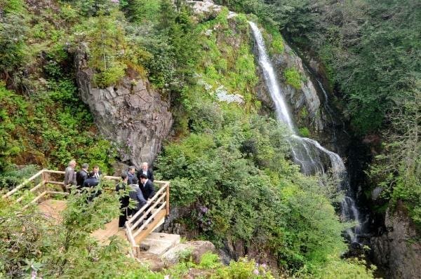 Arapdüzü Mesire Alanı — Rize gezilecek yerler